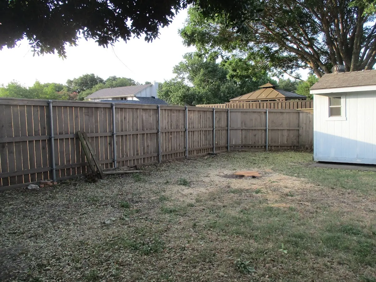 Cleared yard after professional tree removal in Staffordville